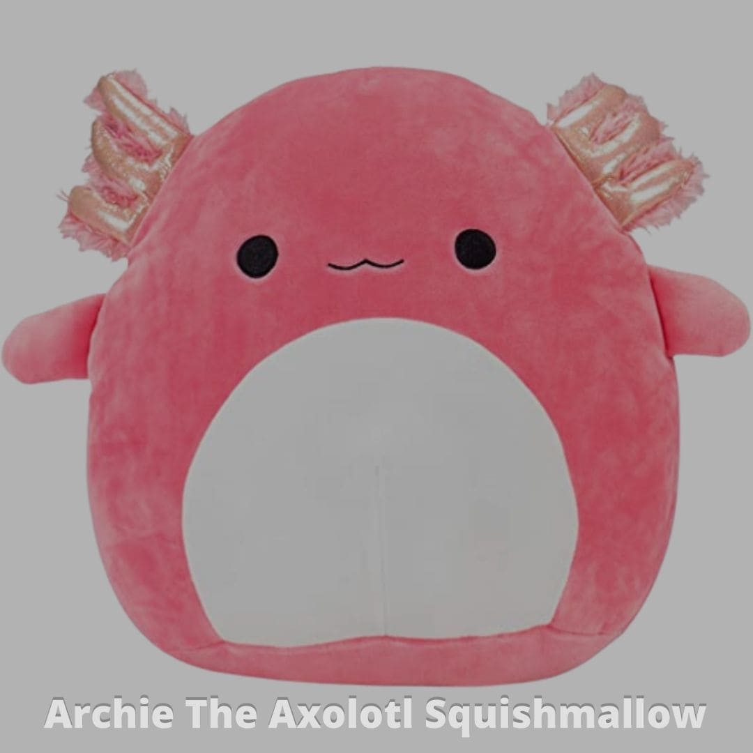 Archie The Axolotl Squishmallow