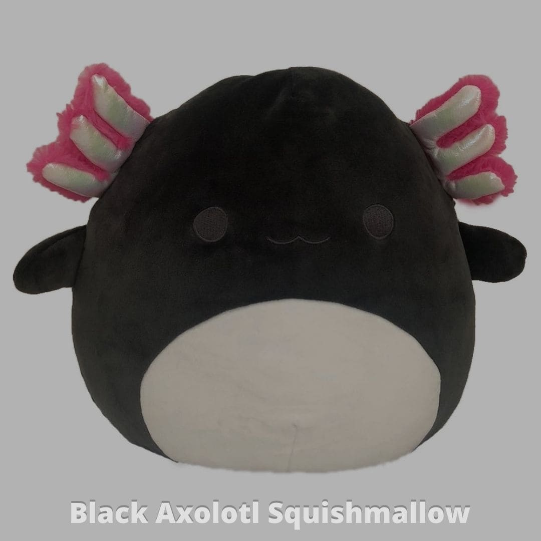 Black Axolotl Squishmallow