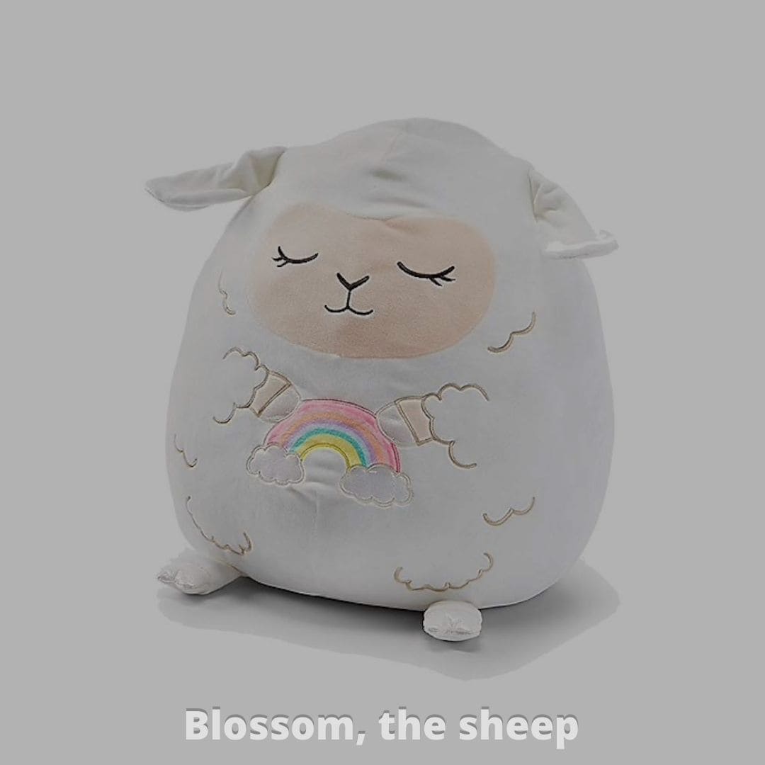 Blossom, the sheep