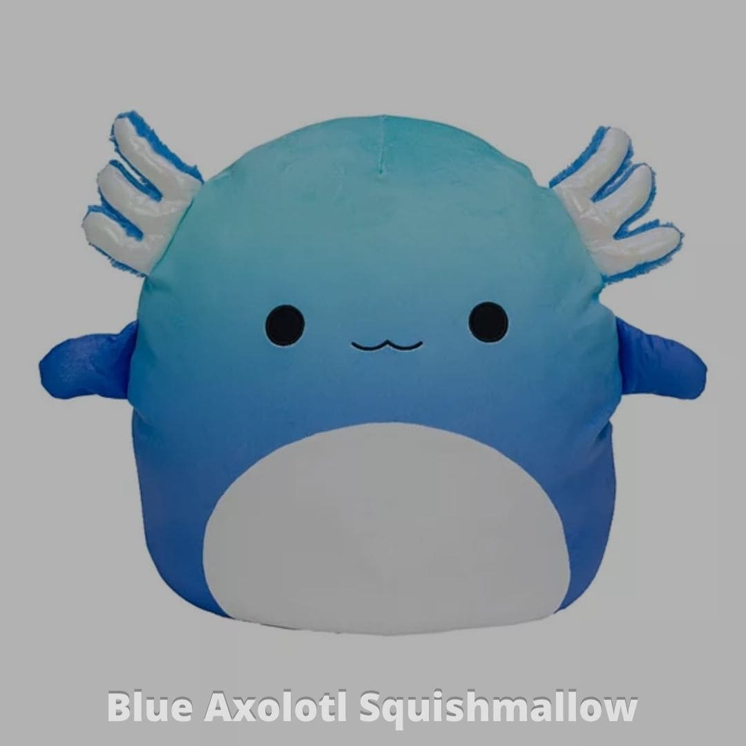 Blue Axolotl Squishmallow