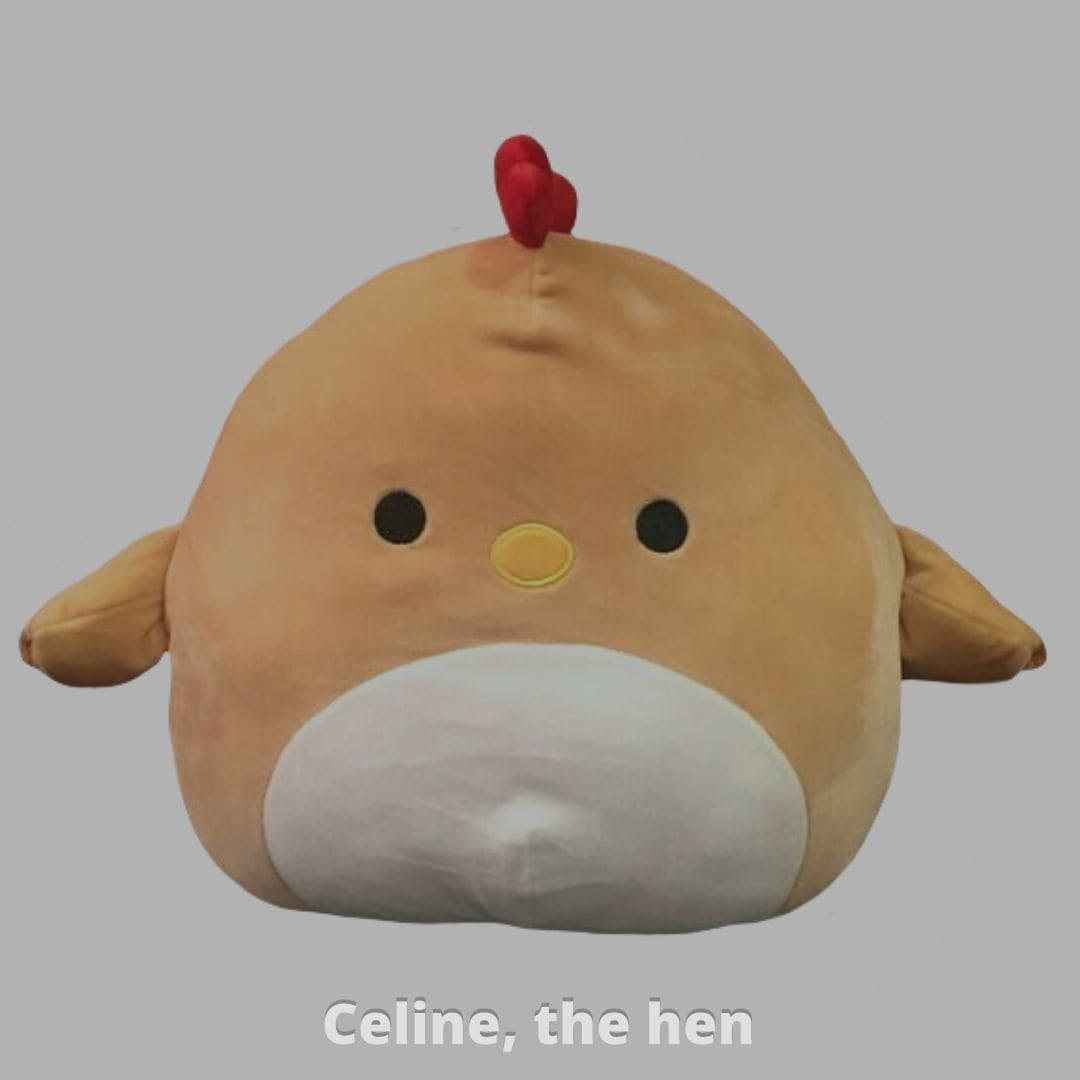 Celine, the hen
