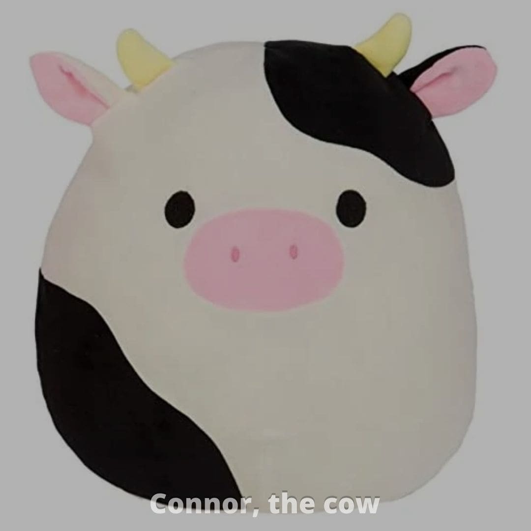 Connor, the cow