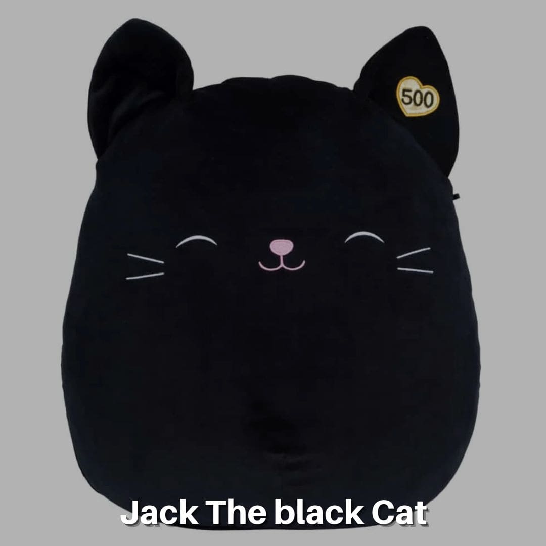 Jack The black Cat