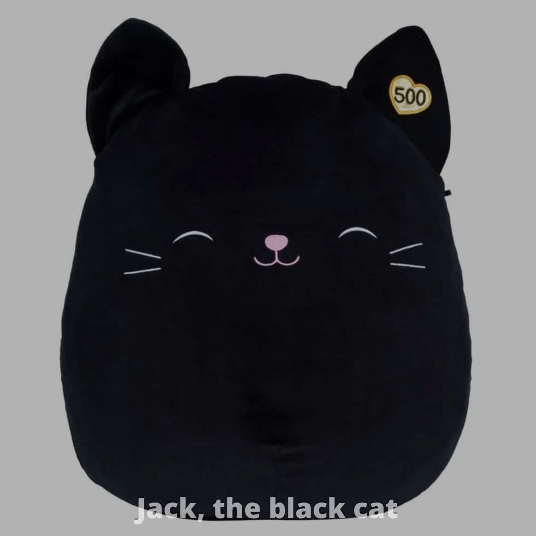 Jack, the black cat