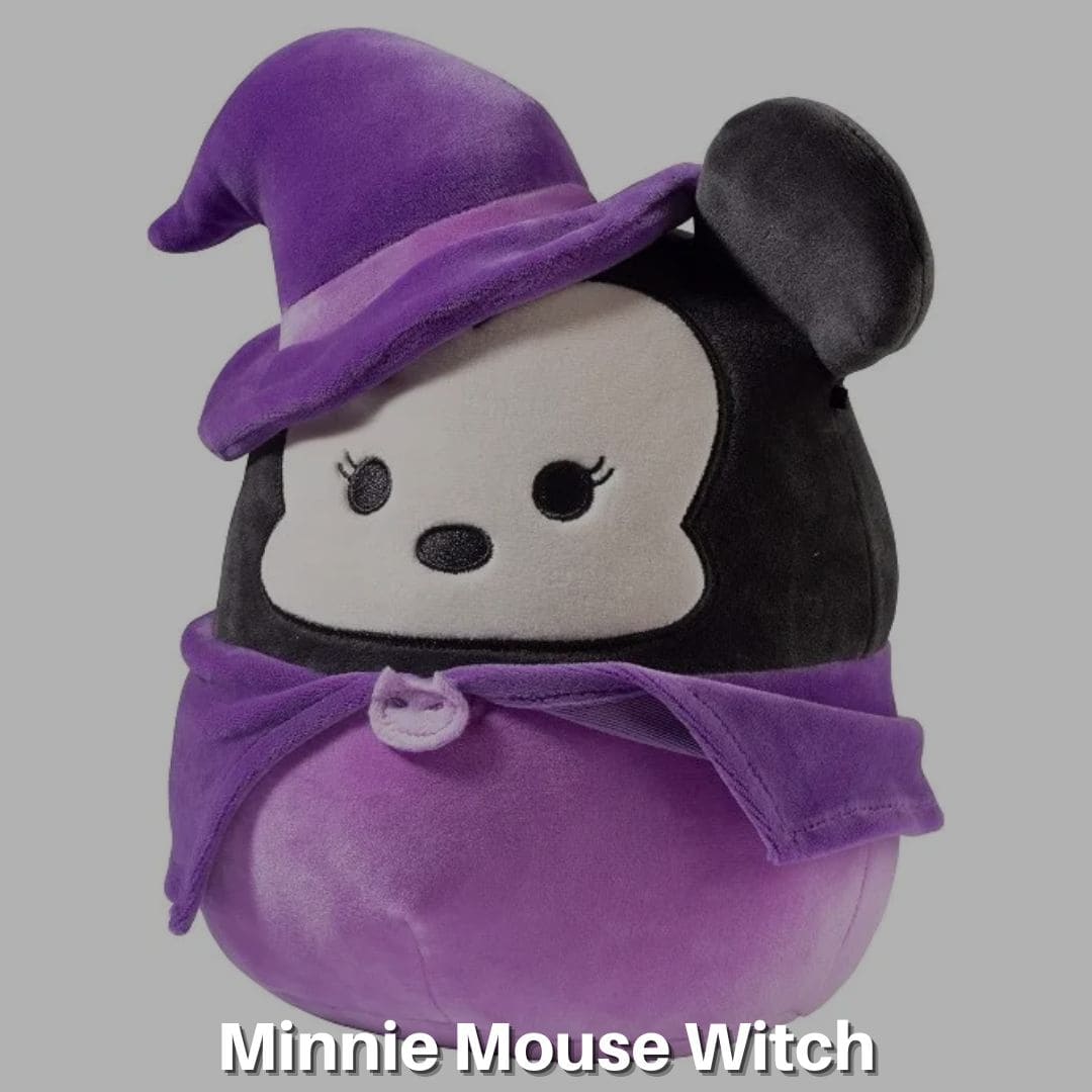 Minnie Mouse Witch