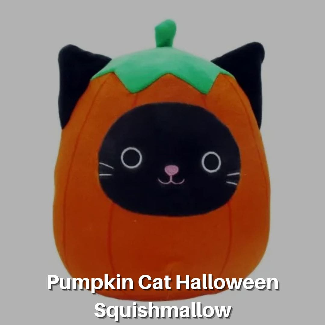 Pumpkin Cat Halloween Squishmallow