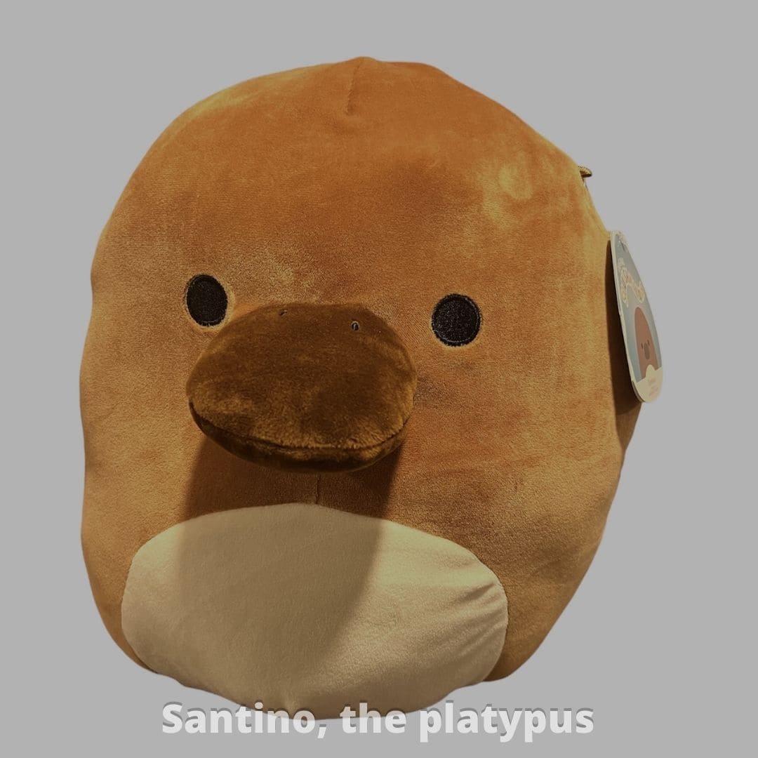Santino, the platypus