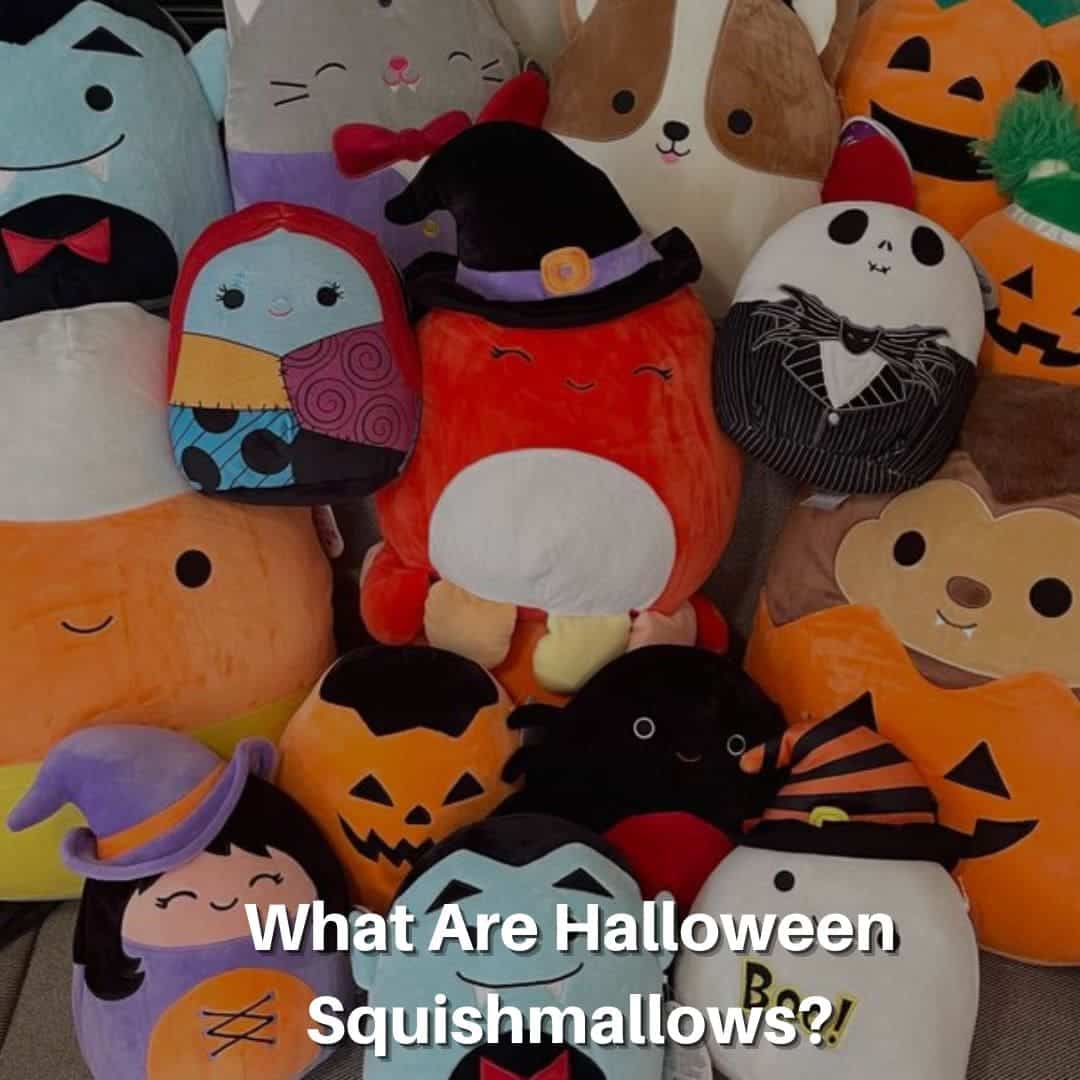 What Are Halloween Squishmallows
